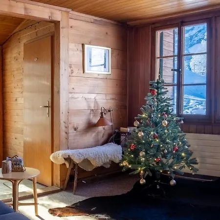 Apartment Vintage In Kandersteg