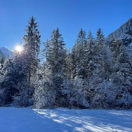 Vintage In Lägenhet Kandersteg