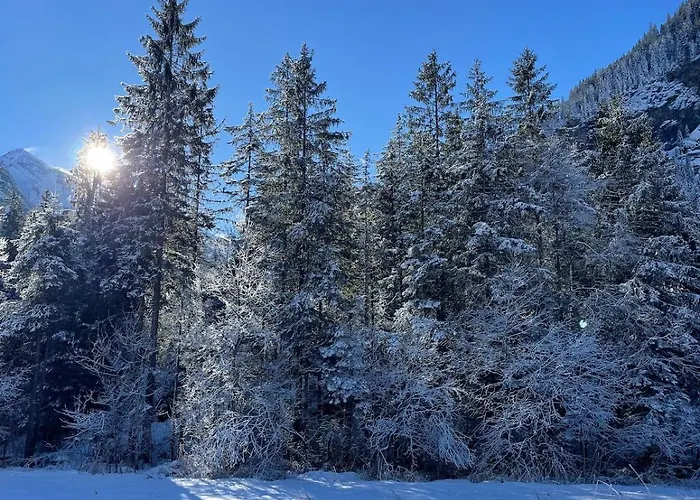 Vintage In Lejlighed Kandersteg