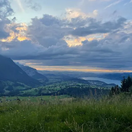 Vintage In Apartment *